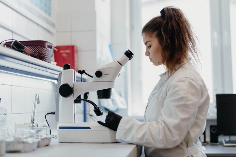 We have been successful with major research projects. They will focus on human health and the risks posed by microplastics