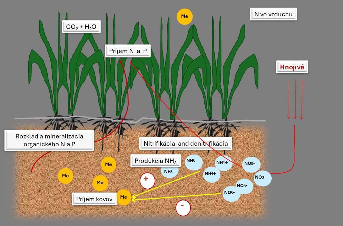 foto ekopoda | WebJET CMS