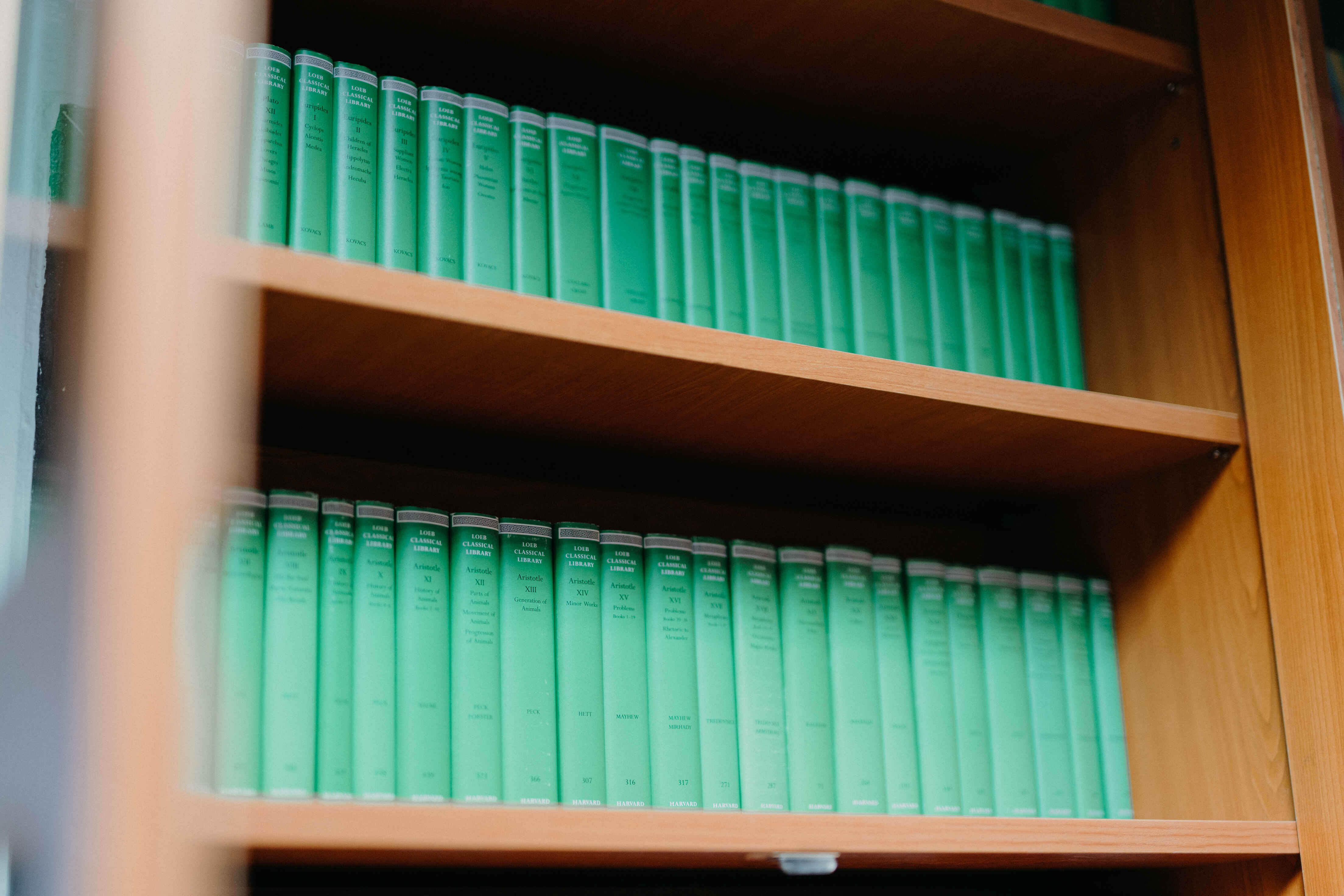 dsc9929 1 | WebJET CMS