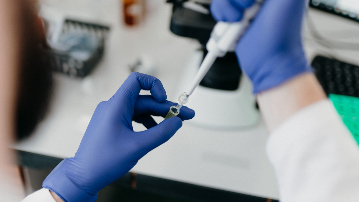 dsc7603 | WebJET CMS