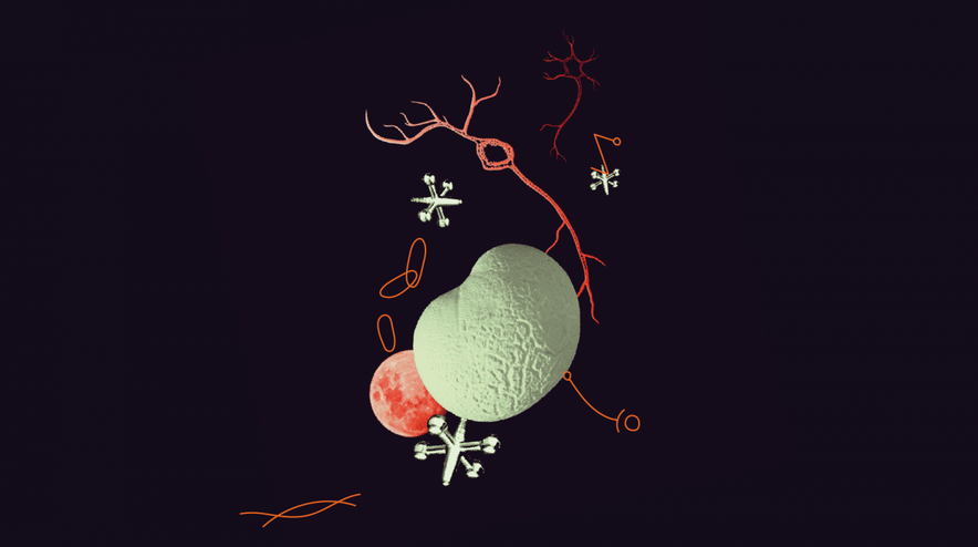 Article Header Image