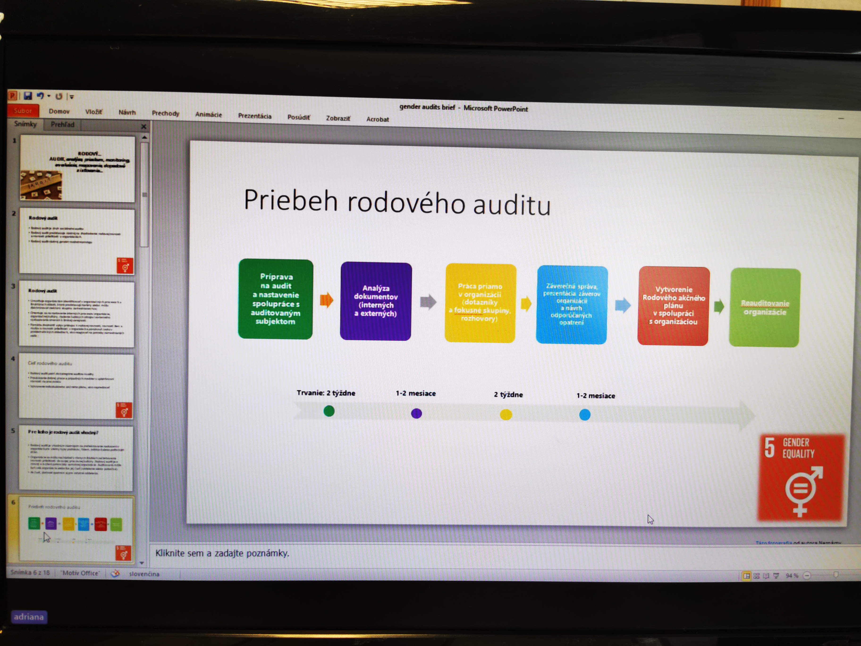 Rodový audit: nástroj na efektívne uplatňovanie rodovej rovnosti v organizáciách