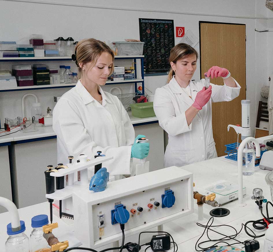 phd skola | WebJET CMS faculty-banner-photo