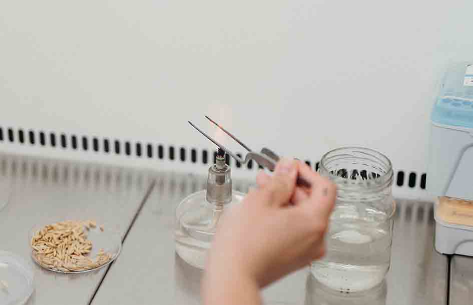 sdgi 1 | WebJET CMS faculty-banner-photo