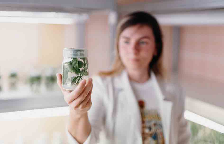 sdgi 1 | WebJET CMS faculty-banner-photo