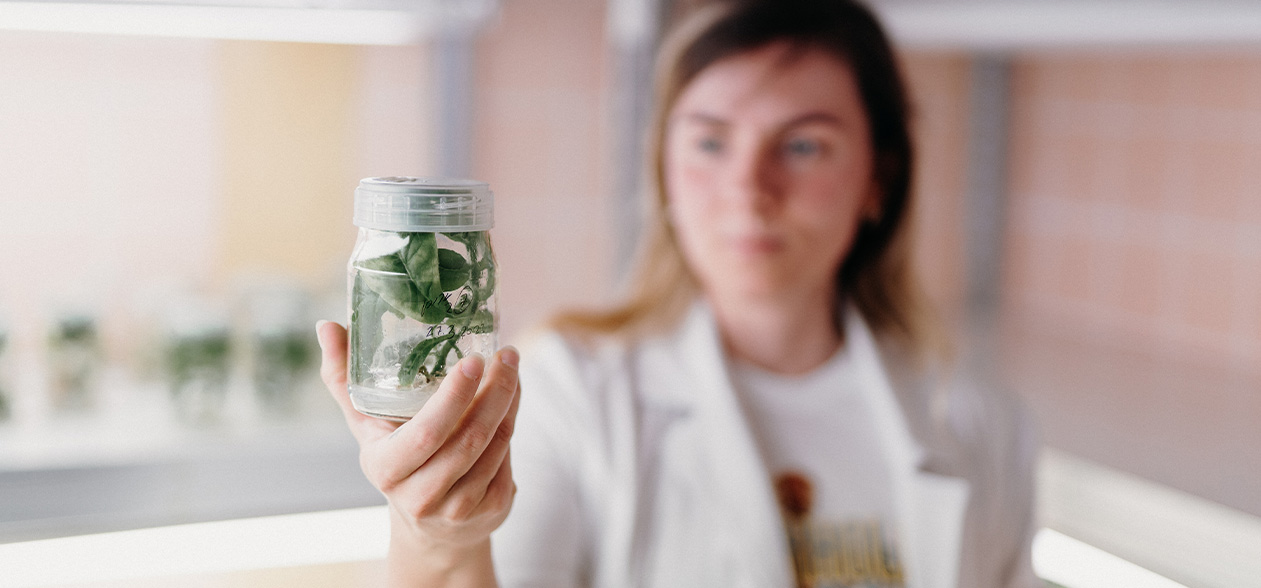 Article Header Image