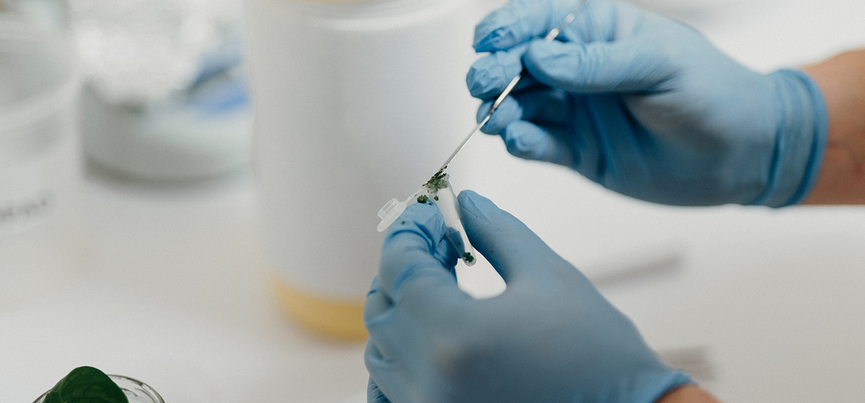 Article Header Image