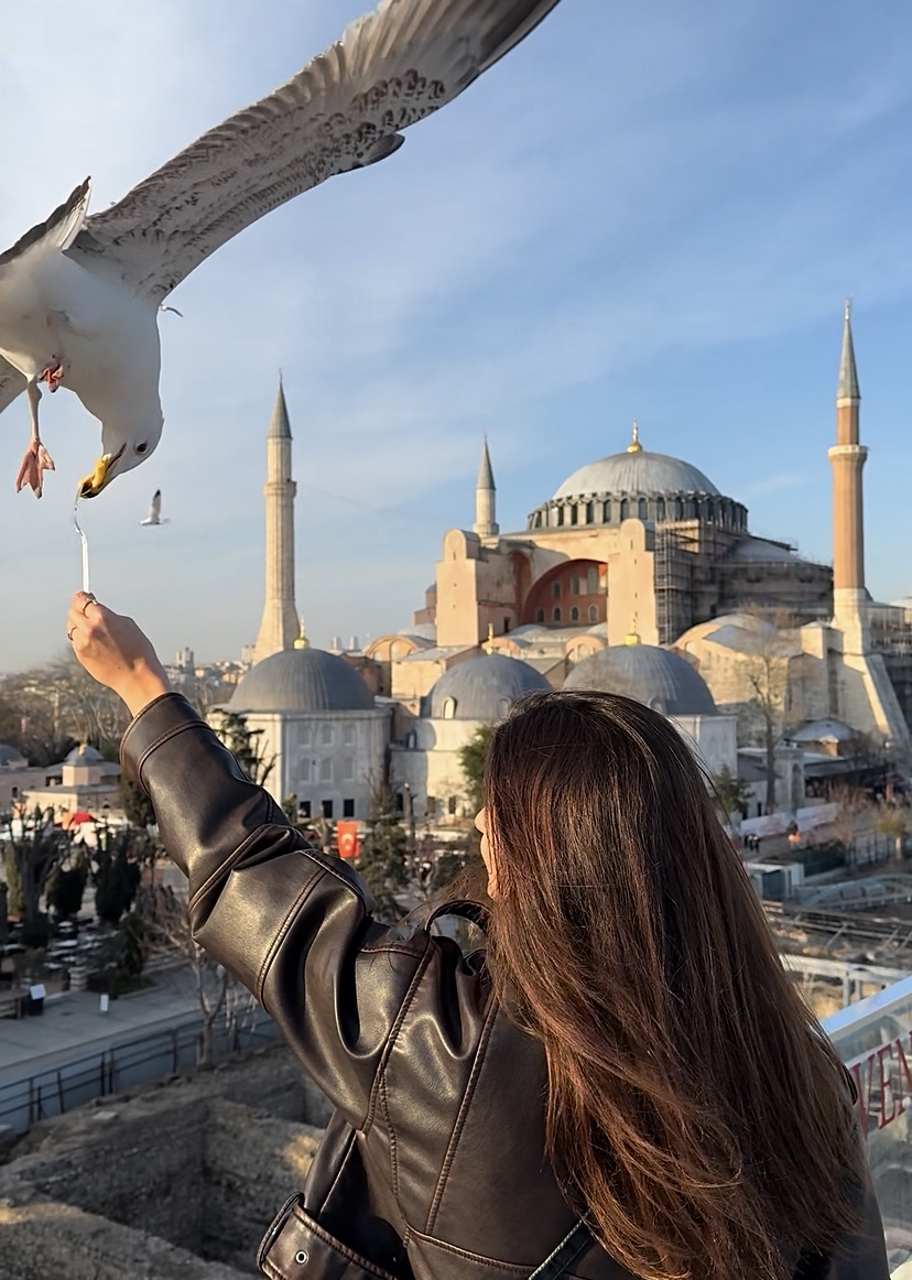 dsc08766 | WebJET CMS