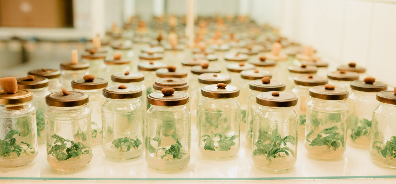 Article Header Image