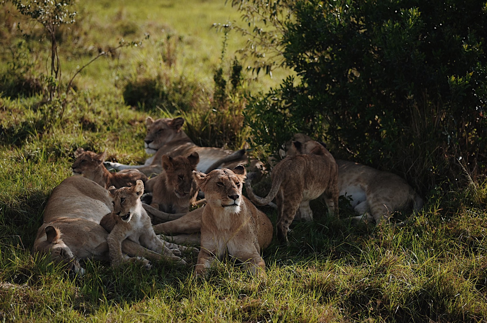 3eb22d44 cd12 4e6f ad97 bde65f8a74dc 2 | WebJET CMS