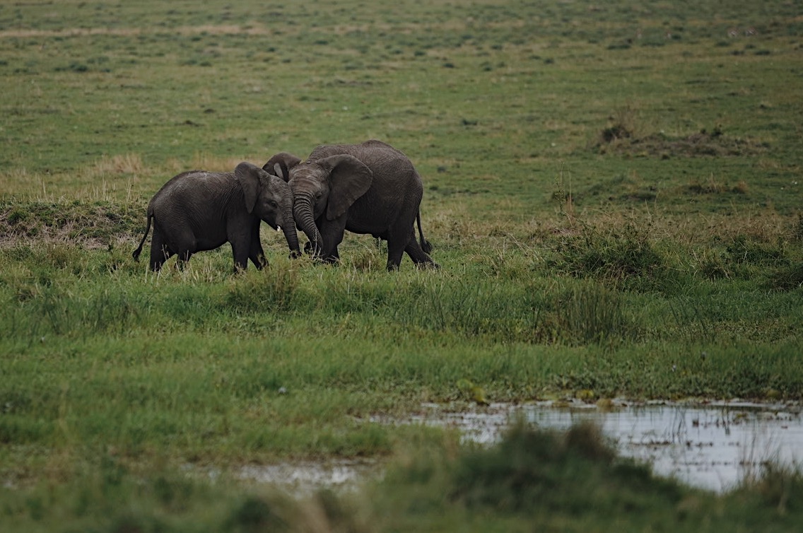 e3c5cae9 0ef5 4e58 a6fe 0b3a5ac1b6fe 2 | WebJET CMS