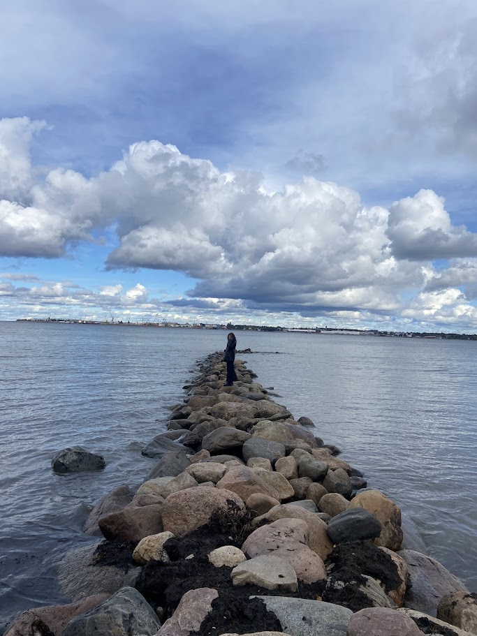 img 6124 dav bar | WebJET CMS