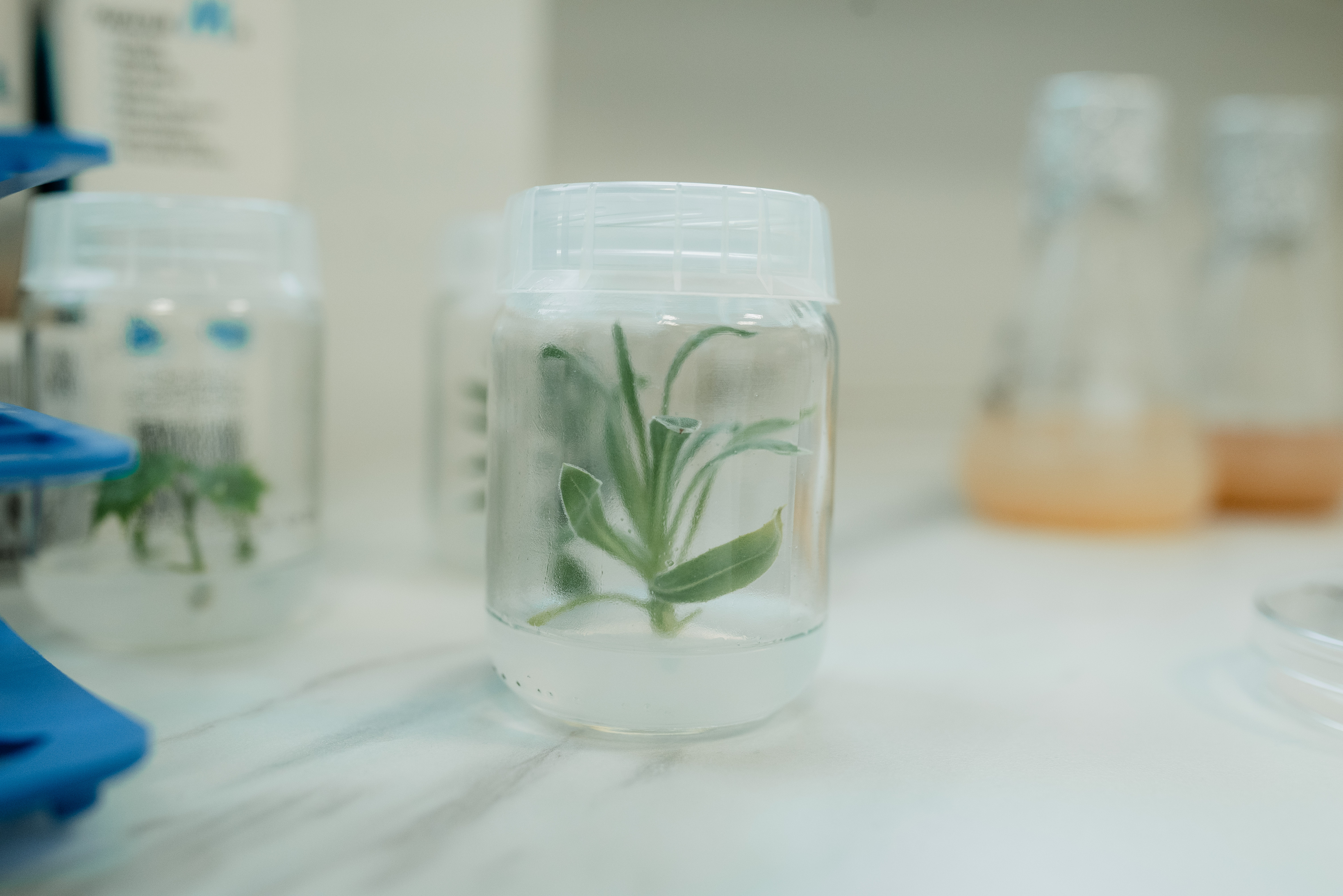 rom 0915 | WebJET CMS