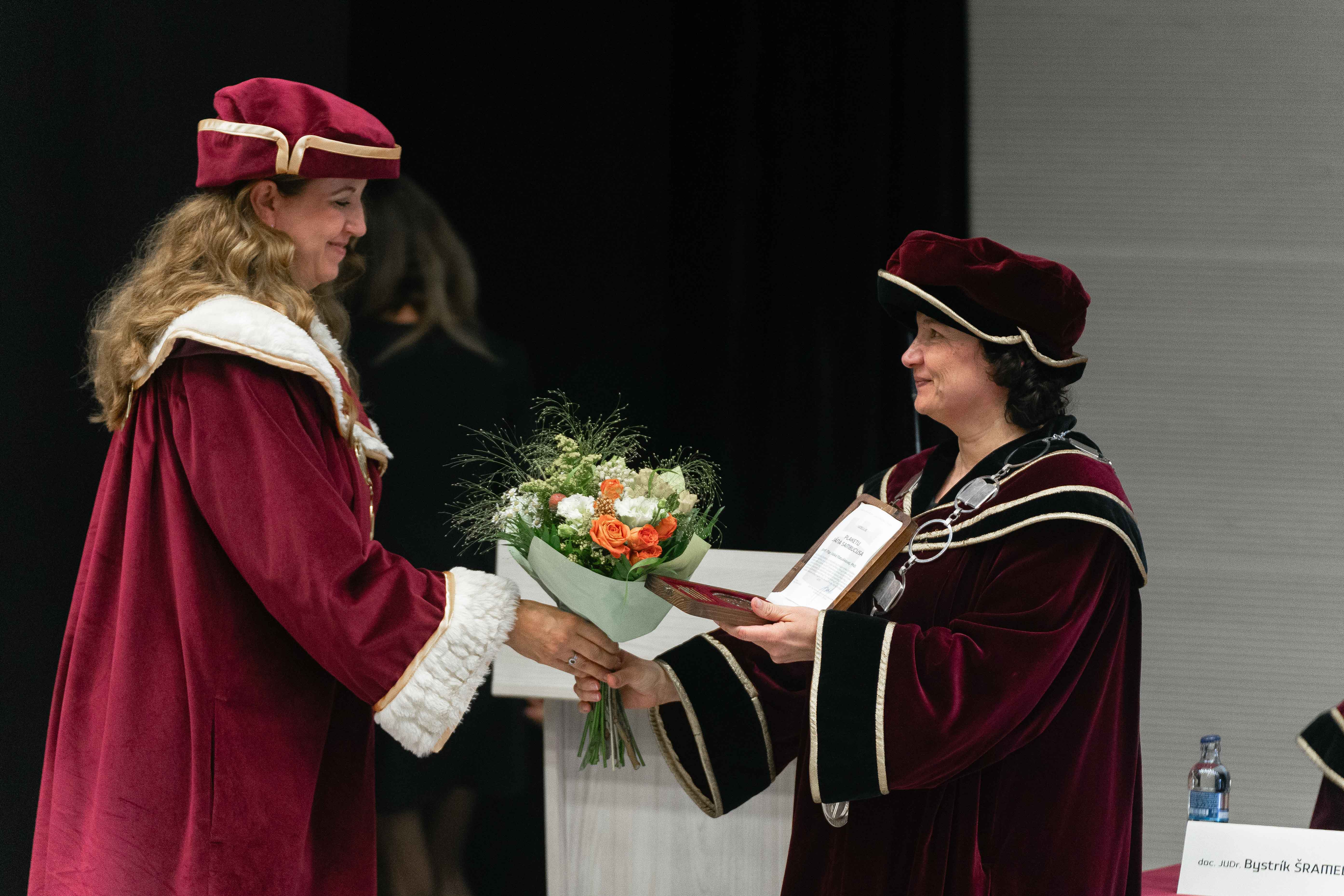 dsc09816 | WebJET CMS