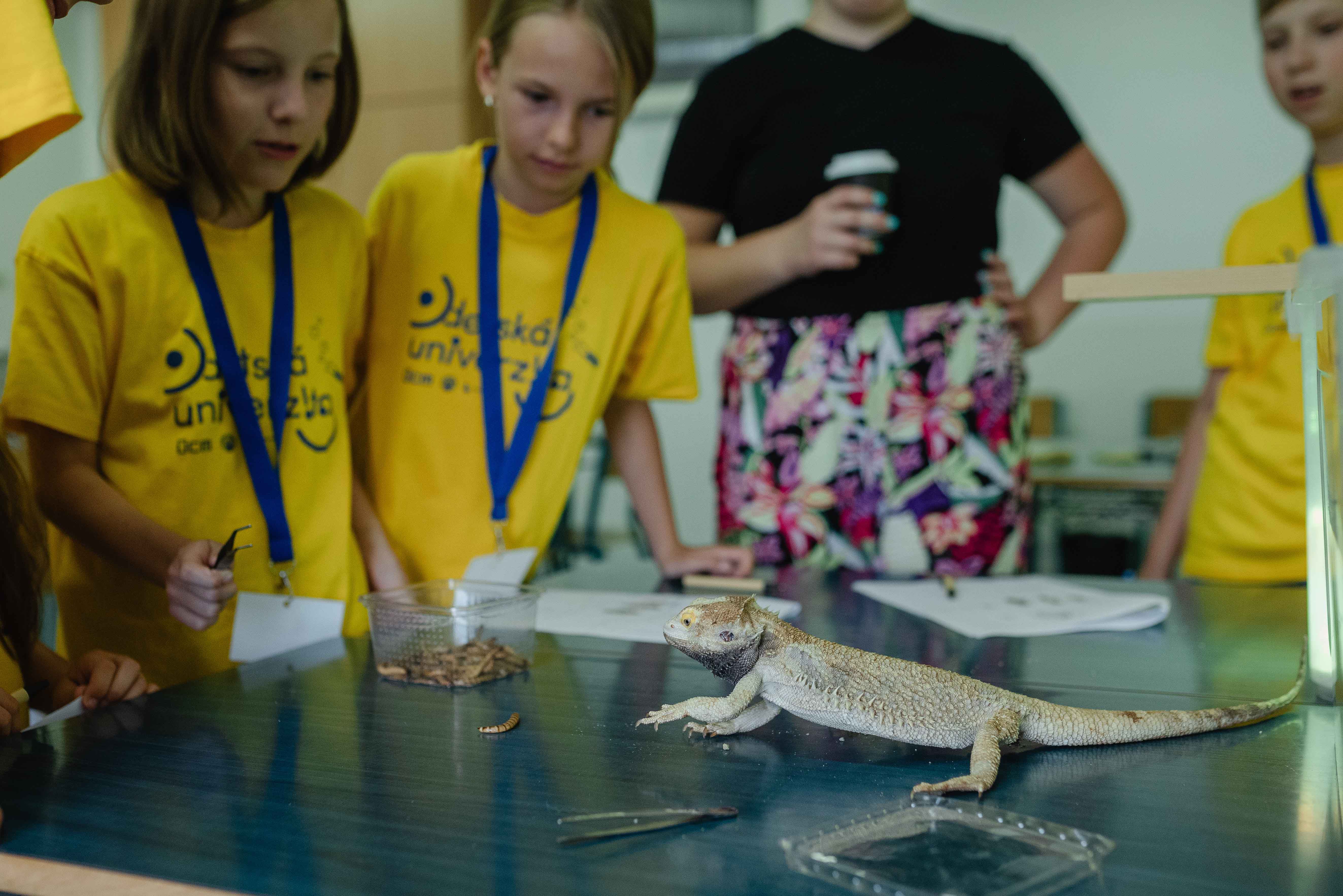 rom 9473 | WebJET CMS